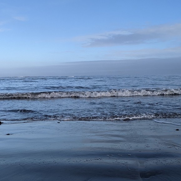 Meet your Posher, Hannah - Picture 1 of 1